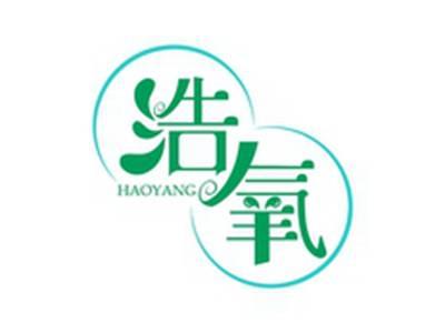 浩氧HAOYANG