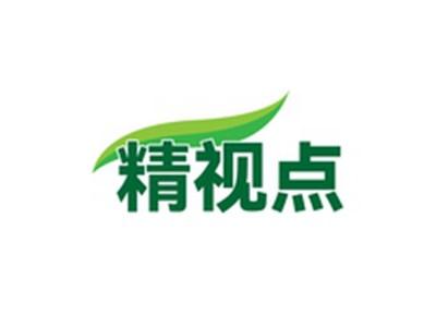 精视点