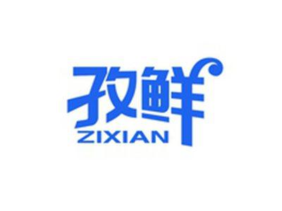孜鲜ZIXIAN