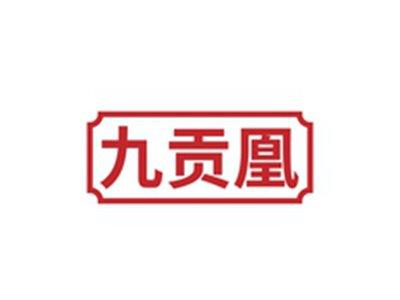 九贡凰