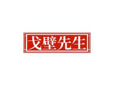 戈壁先生