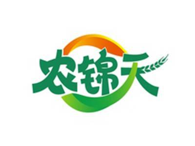 农锦天