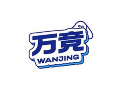 万竞WANJING