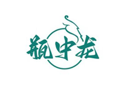 瓶中龙