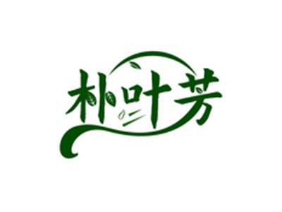 朴叶芳