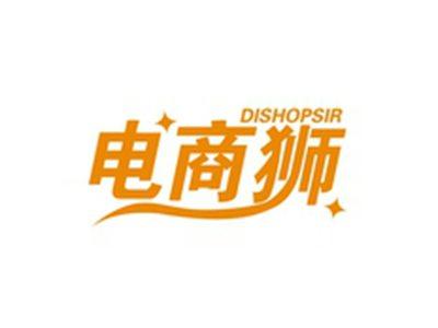 电商狮DISHOPSIR