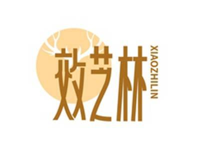 效芝林XIAOZHILIN