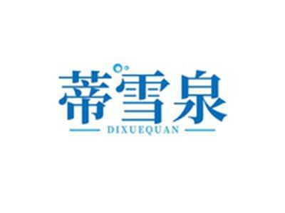 蒂雪泉DIXUEQUAN