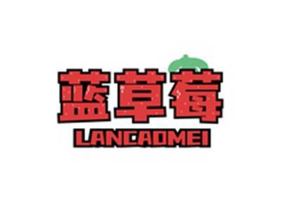 蓝草莓LANCAOMEI