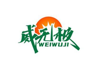 威无极WEIWUJI
