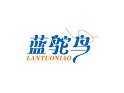 蓝鸵鸟LANTUONIAO