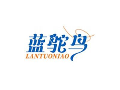 蓝鸵鸟LANTUONIAO