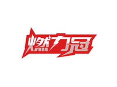 燃力冠