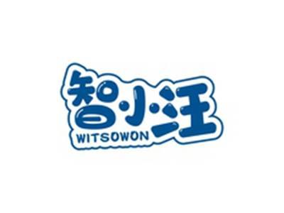 智小汪WITSOWON