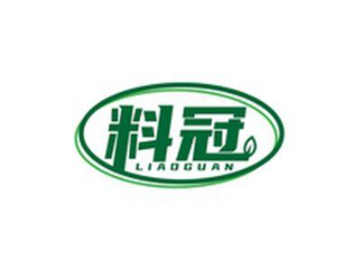 料冠LIAOGUAN
