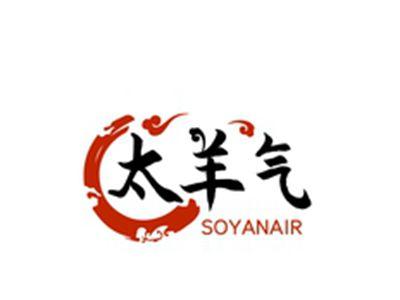 太羊气SOYANAIR