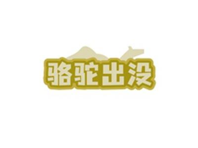 骆驼出没