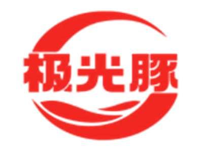 极光豚
