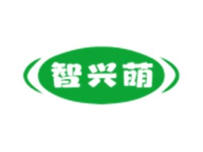 智兴萌