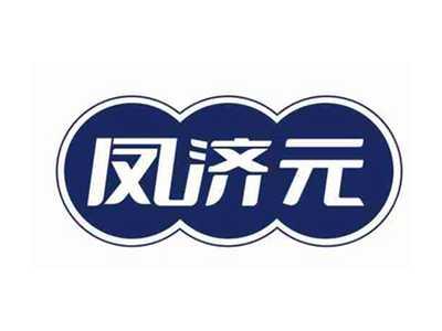 凤济元