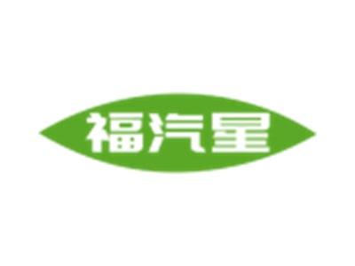 福汽星