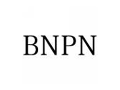 BNPN