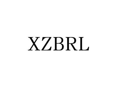 XZBRL