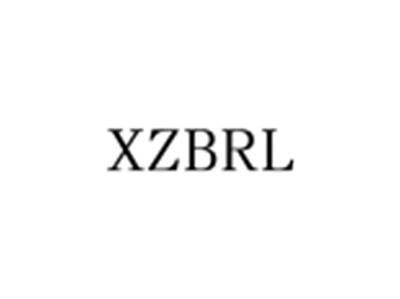 XZBRL