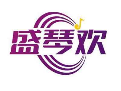 盛琴欢