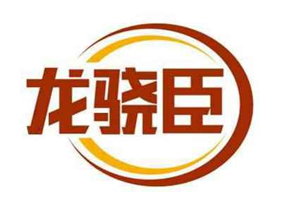 龙骁臣