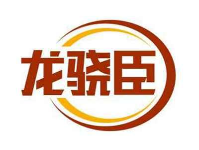 龙骁臣