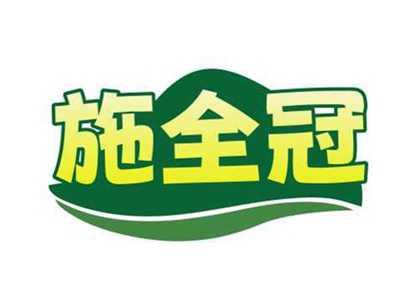 施全冠