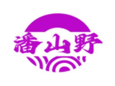 潘山野