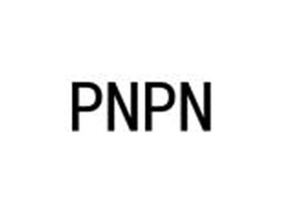 PNPN