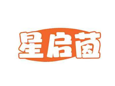 星启茵