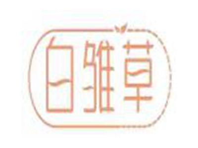 白雏草