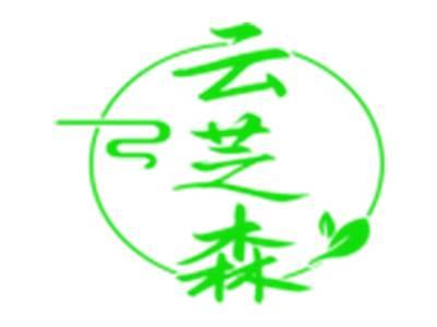 云芝森