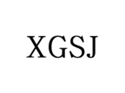 XGSJ