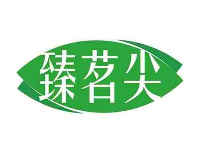 臻茗尖