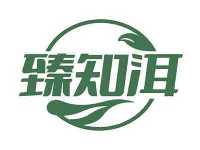 臻知洱