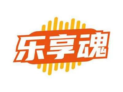 乐享魂