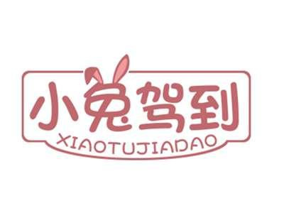 小兔驾到