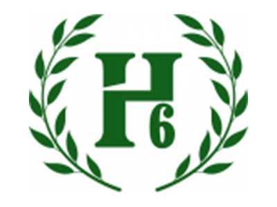 H6