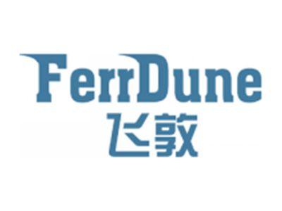 飞敦