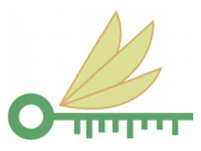红蜻蜓图形