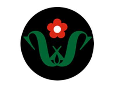 图形