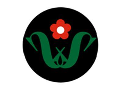 图形