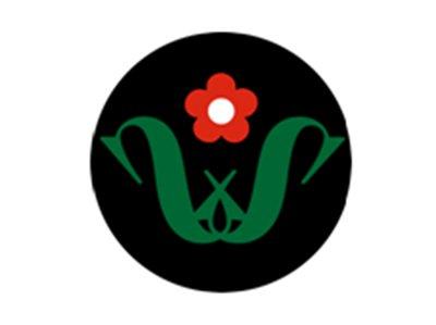 SS图形
