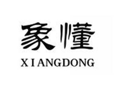 象懂