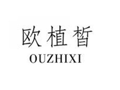 欧植皙OUZHIXI